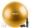 PRO MAX Series Exercise Ball by SmarterLife