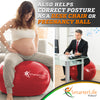 SmarterLife Exercise Ball