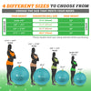 SmarterLife Exercise Ball