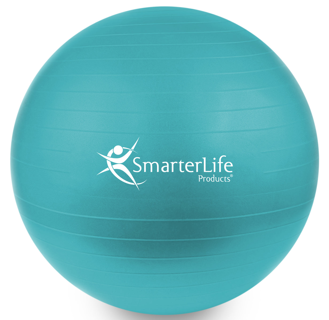 SmarterLife Exercise Ball