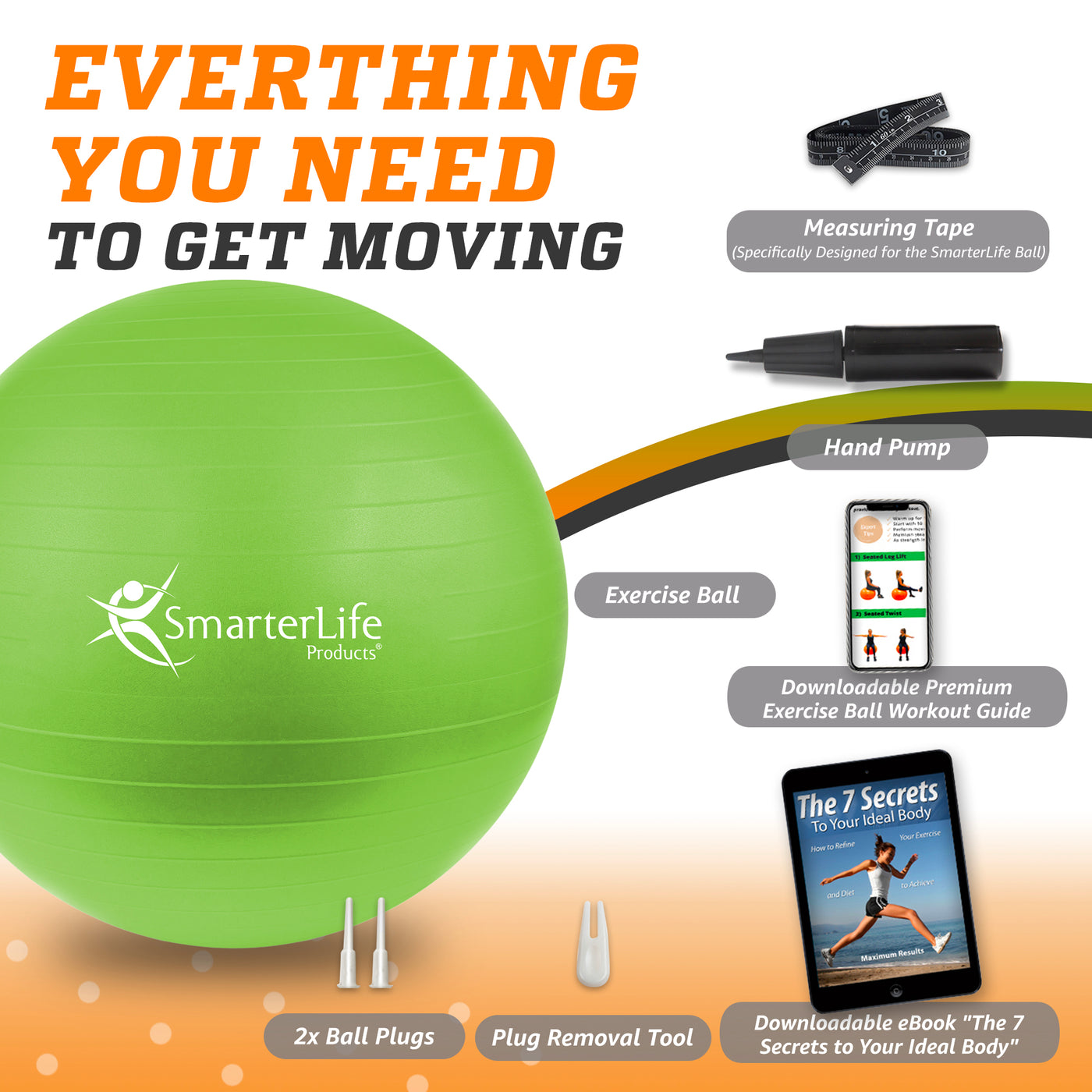 SmarterLife Exercise Ball