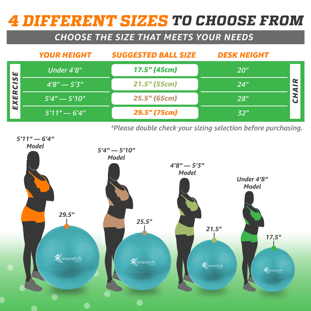 SmarterLife Exercise Ball