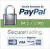 Secure Payments By PayPal